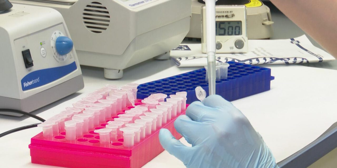 AstraZeneca para los ensayos de su vacuna por la reacción adversa de un paciente