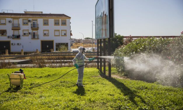 Los casos de virus del Nilo en Sevilla suben en uno hasta 24, tres en la UCI