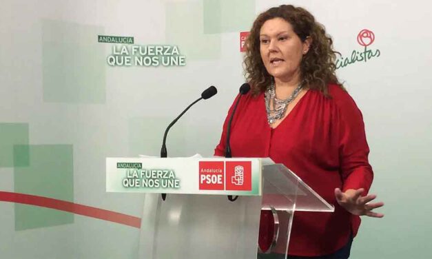 El PSOE desmiente los datos ofrecidos por García Pelayo sobre el Ingreso Mínimo Vital