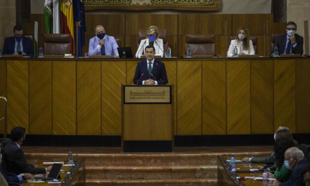 Moreno pide al Gobierno "soluciones comunes" ante la pandemia