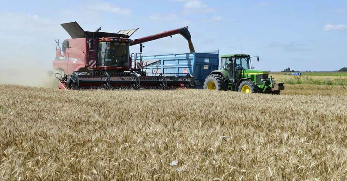 El PP apoyará a los agricultores portuenses con una moción en defensa de la PAC