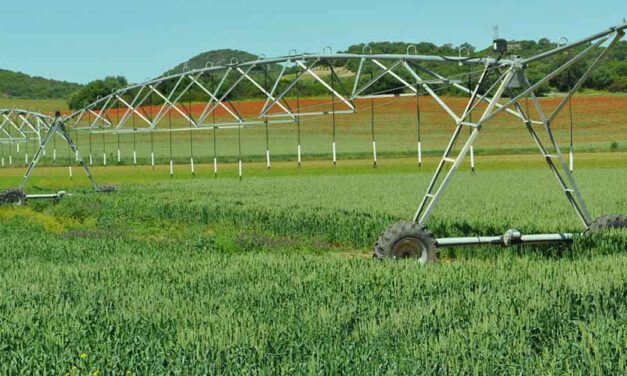 Ayudas ‘Leader’, una oportunidad única para darle viabilidad a proyectos en la zona rural