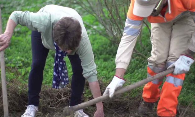 En marcha la Reforestación de la Puerta Verde de la Ruta Enoturística de El Puerto