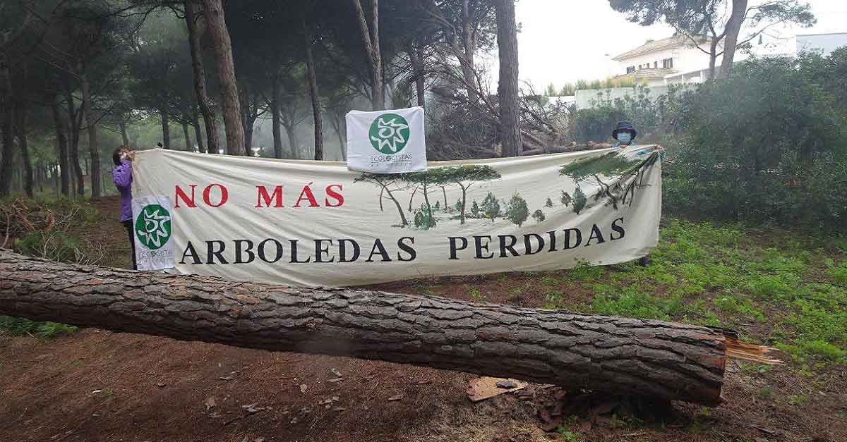 Ecologistas en Acción paraliza la tala de pinos en las Dunas de San Antón