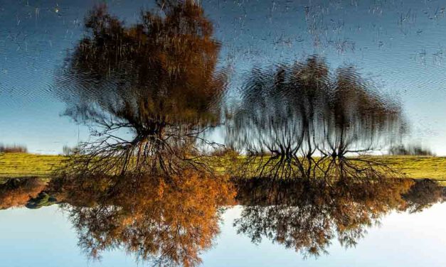 La fotografía de García Lanceta anunciará el Día de los Humedales de 2022 en Los Toruños