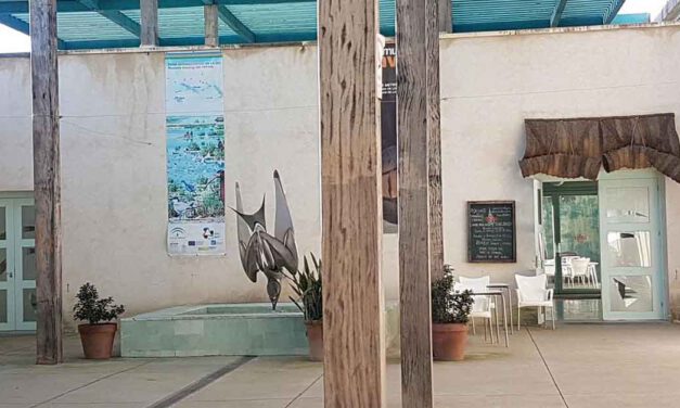 La Junta licita la concesión para explotar la restauración en Los Toruños