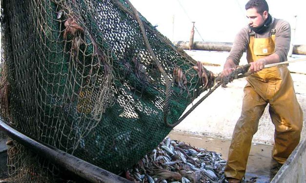 El PSOE de El Puerto rinde homenaje a “las gentes de la mar"