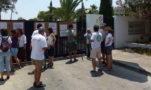 Ecologistas en Acción apoya la plataforma "Soluciones para El Puerto"