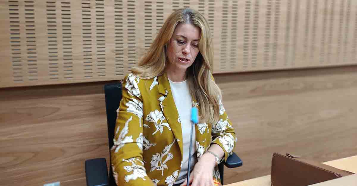 Vox El Puerto denuncia la mala gestión de los fondos EDUSI