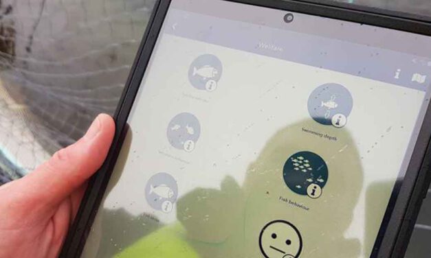 IMPAQT presenta una plataforma de acuicultura de precisión para la transición del monocultivo a la acuicultura multitrófica integrada en Europa