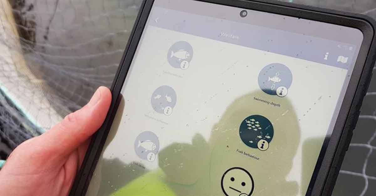 IMPAQT presenta una plataforma de acuicultura de precisión para la transición del monocultivo a la acuicultura multitrófica integrada en Europa