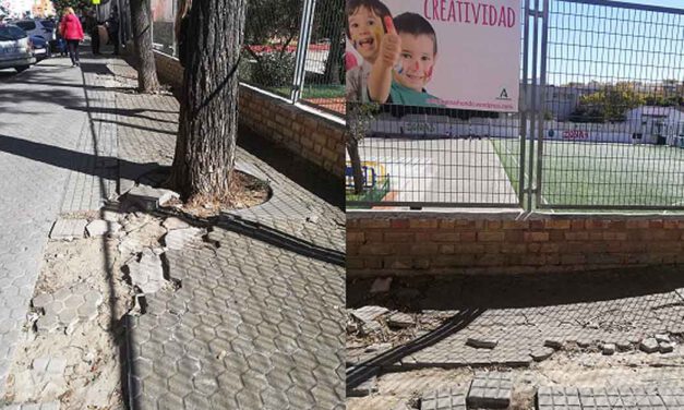 Reclaman a Curro Martínez que se ponga a trabajar ante el abandono del mantenimiento urbano