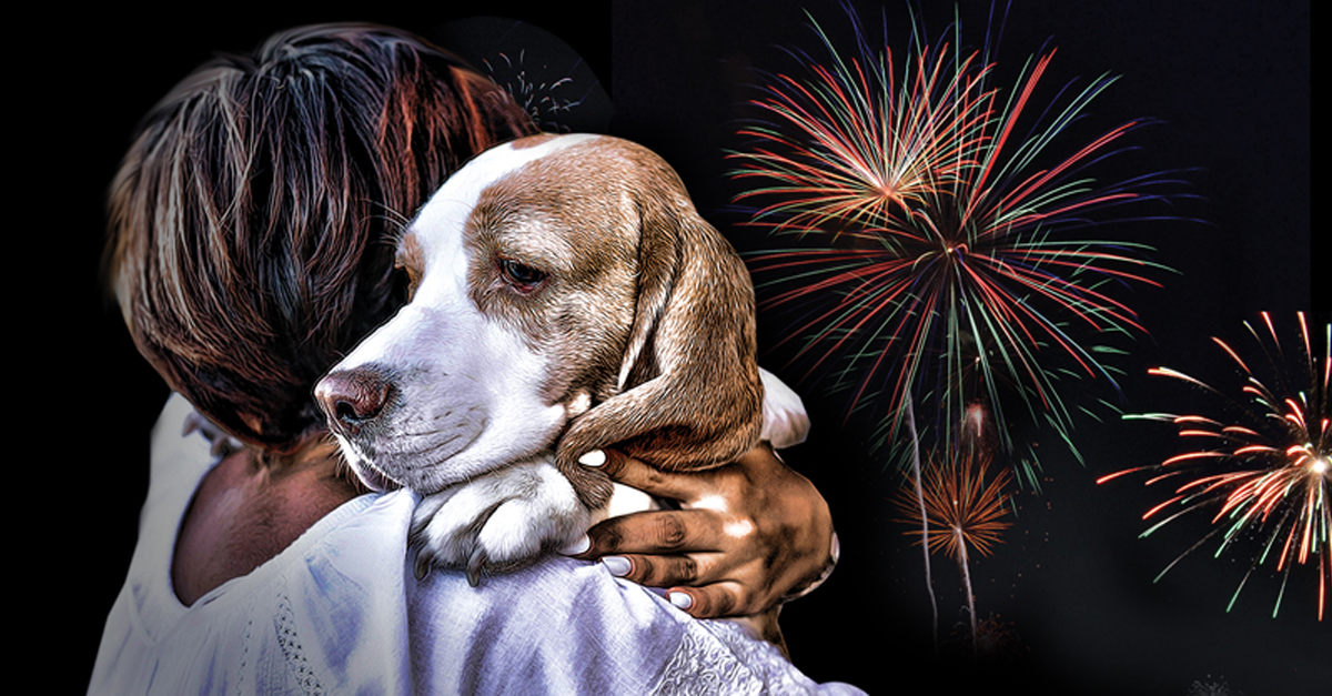 Fuegos artificiales de bajos decibelios en El Puerto por las personas con hipersensibilidad auditiva y mascotas