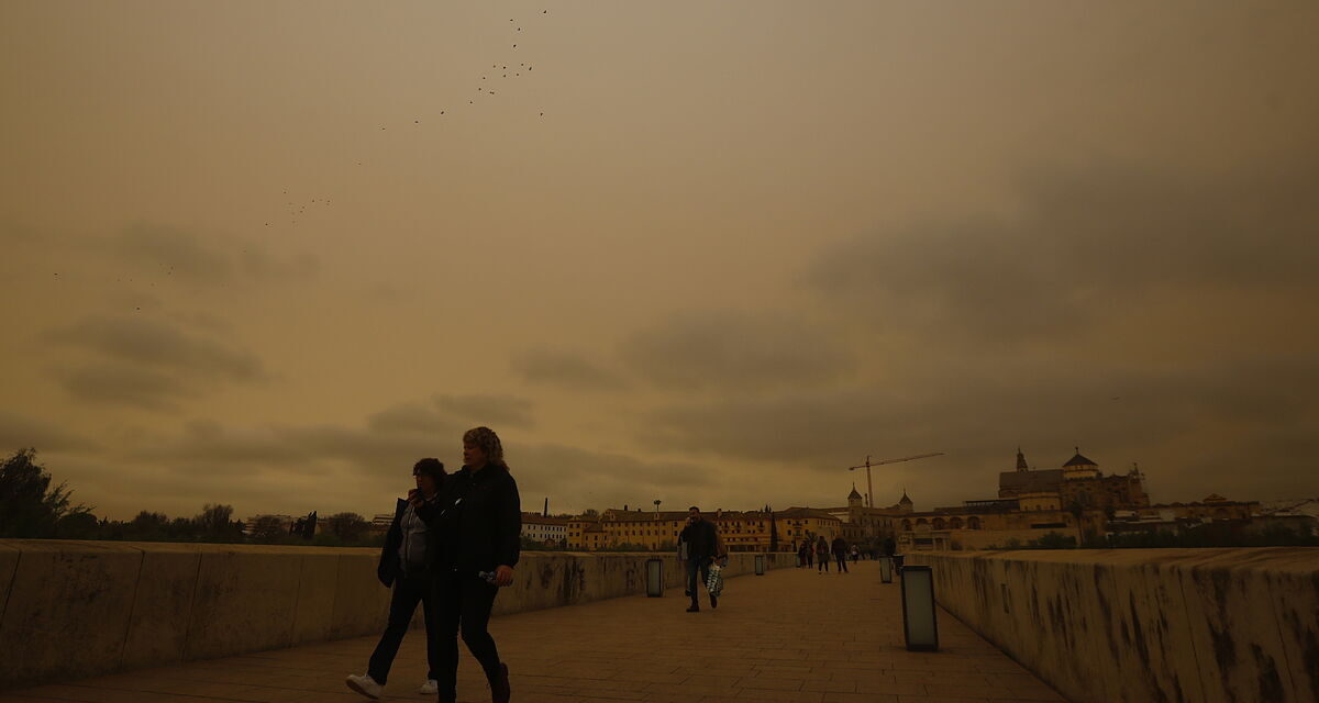 La calima se intensificará este miércoles por la tarde