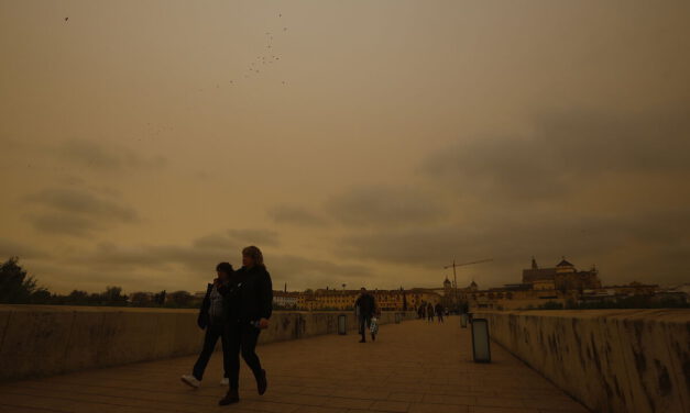 La calima se intensificará este miércoles por la tarde