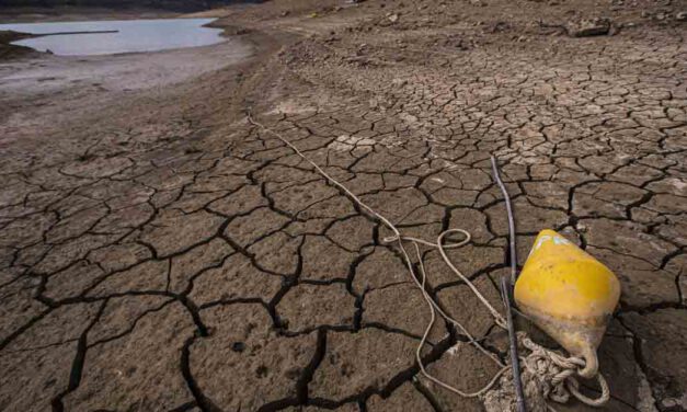 El PSOE reclama medidas para reducir el consumo de agua ante la sequía