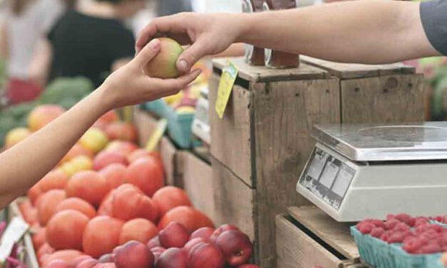 El comercio local de El Puerto de Santa María busca el modo de sobrevivir tras el zarpazo de la pandemia