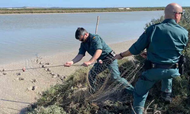 Incautados 17 kg de coquinas y artes ilegales de arrastre en El Puerto