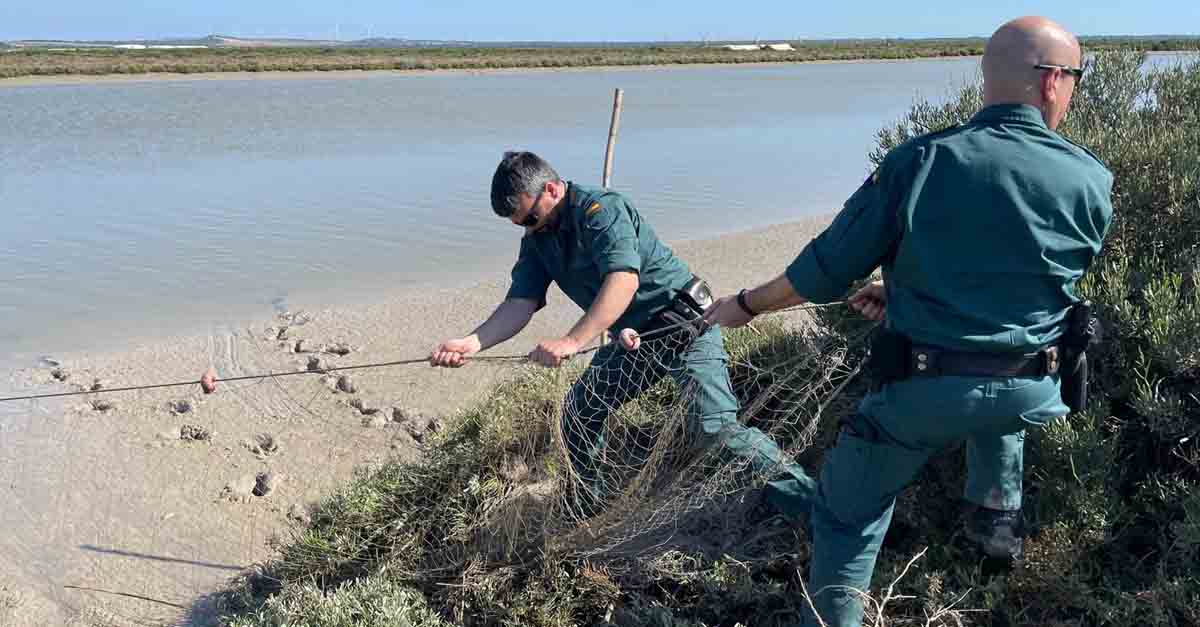 Incautados 17 kg de coquinas y artes ilegales de arrastre en El Puerto