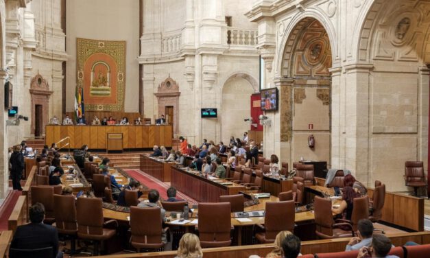 El 28,4% de los parlamentarios electos el 19J repite en la nueva legislatura