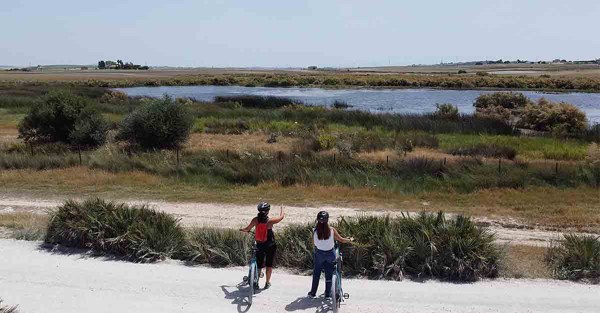 Nueva ruta en bici por las Marismas de Cetina y Pinares, para conocer pedaleando la biodiversidad marismeña