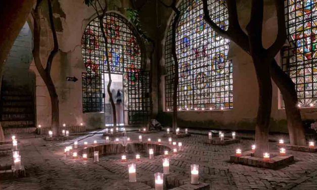 Presentado el programa de actividades de los "Patios de El Puerto a la luz de las mariposas"