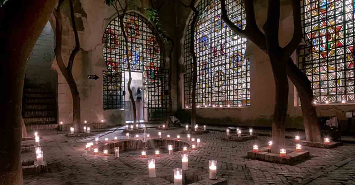 Presentado el programa de actividades de los "Patios de El Puerto a la luz de las mariposas"