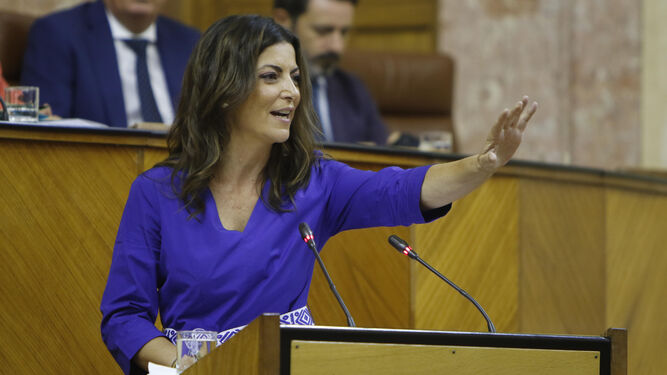 Macarena Olona acude al Parlamento andaluz y renuncia a su acta de diputada