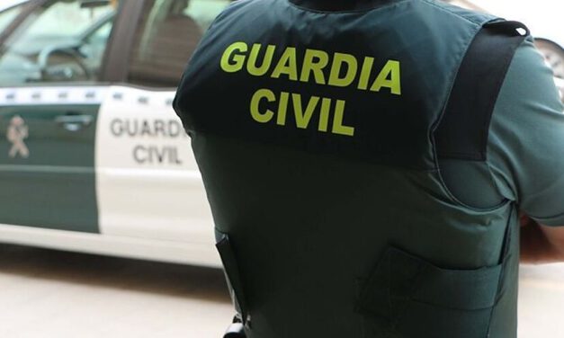 Investigan a un acusado de la muerte de 25 perros, 14 de ellos cachorros, en Almería
