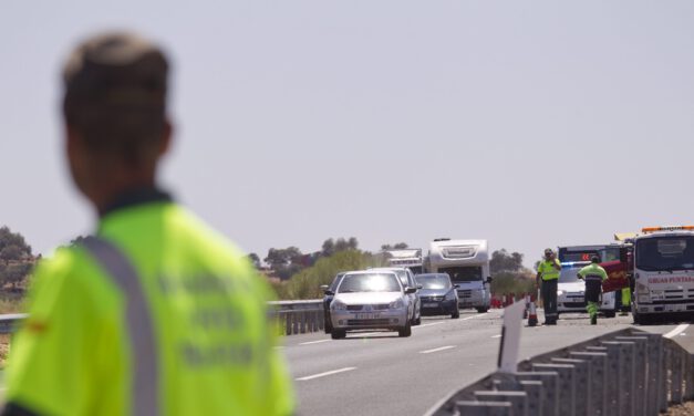 Una vaca provoca dos accidentes con cuatro heridos en la A-92 en Málaga