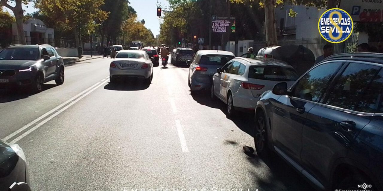Salva la vida del taxista que le trasladaba y que entró en parada cardíaca