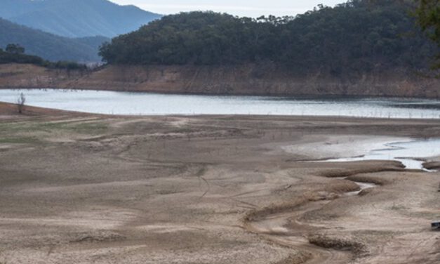 Sequía: Ecologistas afirman que la Junta "excluye" del comité "a los verdaderos expertos"