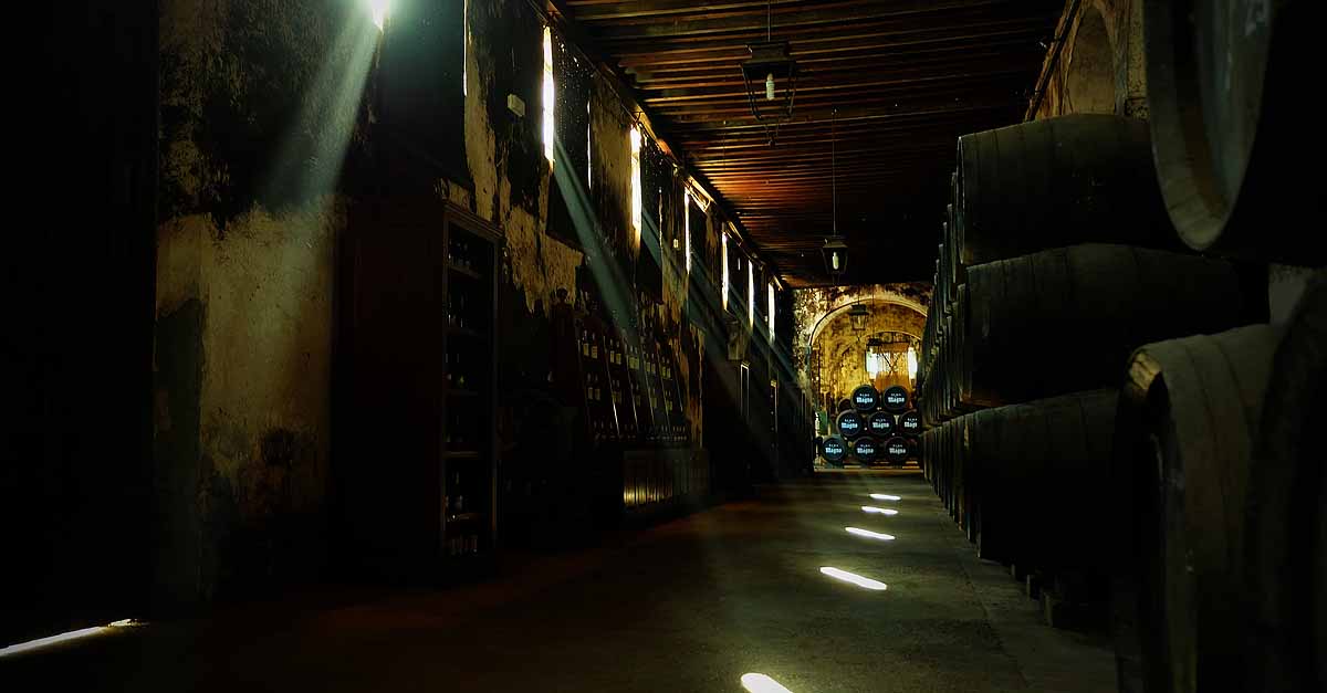 Betilo presenta en El Puerto el proyecto de Centro de Difusión de la Cultura del Vino Fino