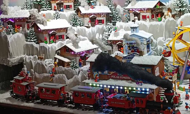 La Asociación La Gaviota inaugura la Navidad Solidaria Playmobil