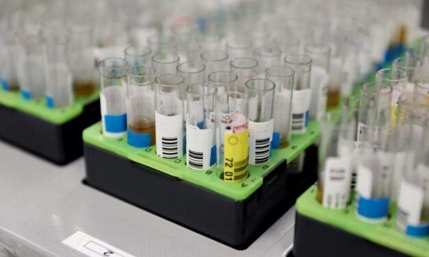 Hallan por primera vez en Europa occidental un parásito que causa meningitis