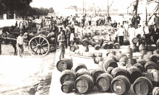 El Centro de Difusión de la Cultura del Vino Fino, a pleno este miércoles