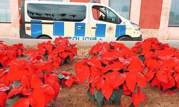 La Policía Local sorprende a dos individuos vendiendo flores de pascua sustraídas en Pozos Dulces