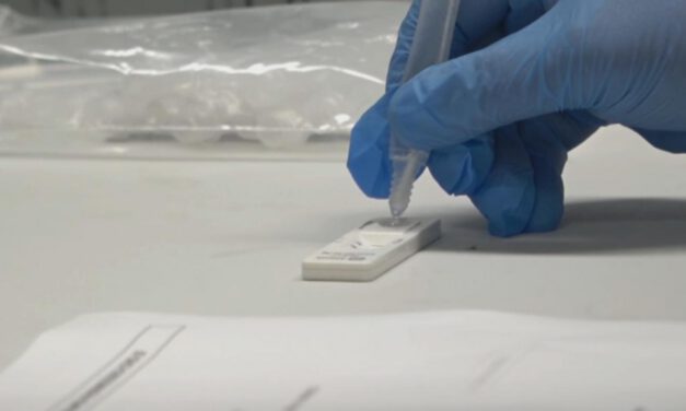 Ómicron sigue siendo la variante del covid predominante en España