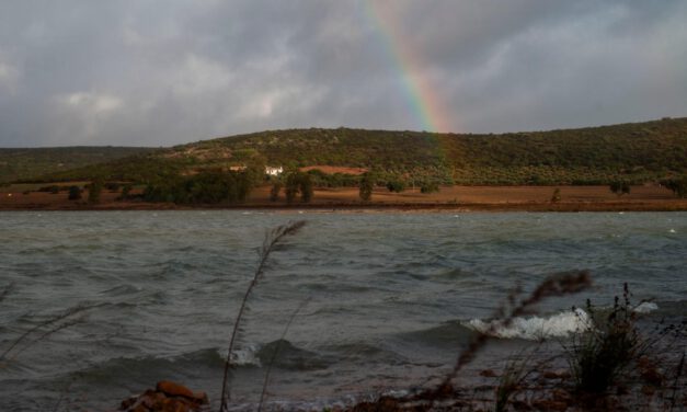 Los embalses de Andalucía recuperan agua durante 7 semanas y alcanzan el 28%