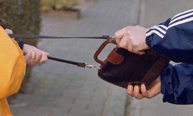 Dos detenidos por robar mediante la técnica del tirón a mujeres de avanzada edad