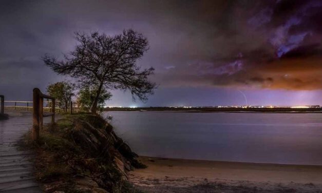 'Paseo salvaje' gana el concurso de fotografía del Día de los Humedales