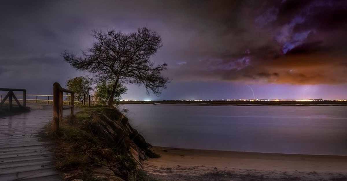 'Paseo salvaje' gana el concurso de fotografía del Día de los Humedales