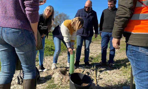 400 escolares de El Puerto participan la repoblación del Parque Guadalete