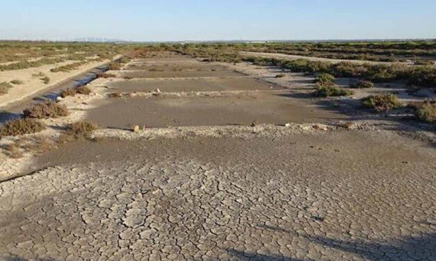 Ecologistas en Acción denuncia el "estado de abandono" de la salina San José