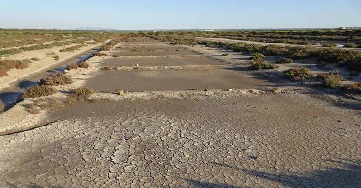 Ecologistas en Acción denuncia el "estado de abandono" de la salina San José