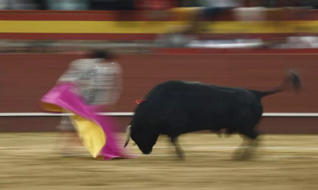 El Gobierno aprueba el Bono Cultural Joven para 2023, que incluye los toros