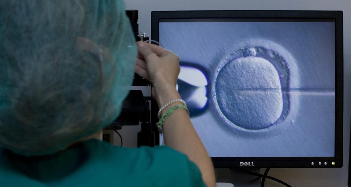 Detecta que su bebé nacido por fecundación asistida no es su hijo biológico