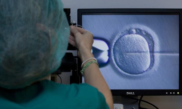 Detecta que su bebé nacido por fecundación asistida no es su hijo biológico