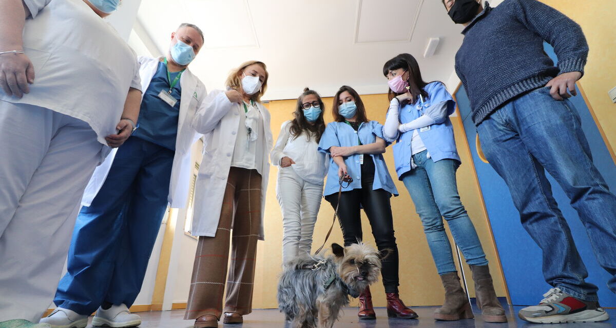 Un hospital logra que una paciente en cuidados paliativos se despida de su perro