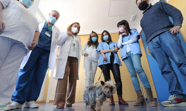 Un hospital logra que una paciente en cuidados paliativos se despida de su perro